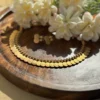 Laxmi Coin Necklace Set